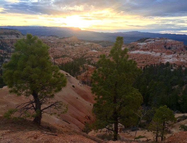 SunriseBryce